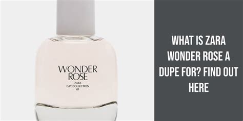 versace zara dupe|zara wonder rose dupes.